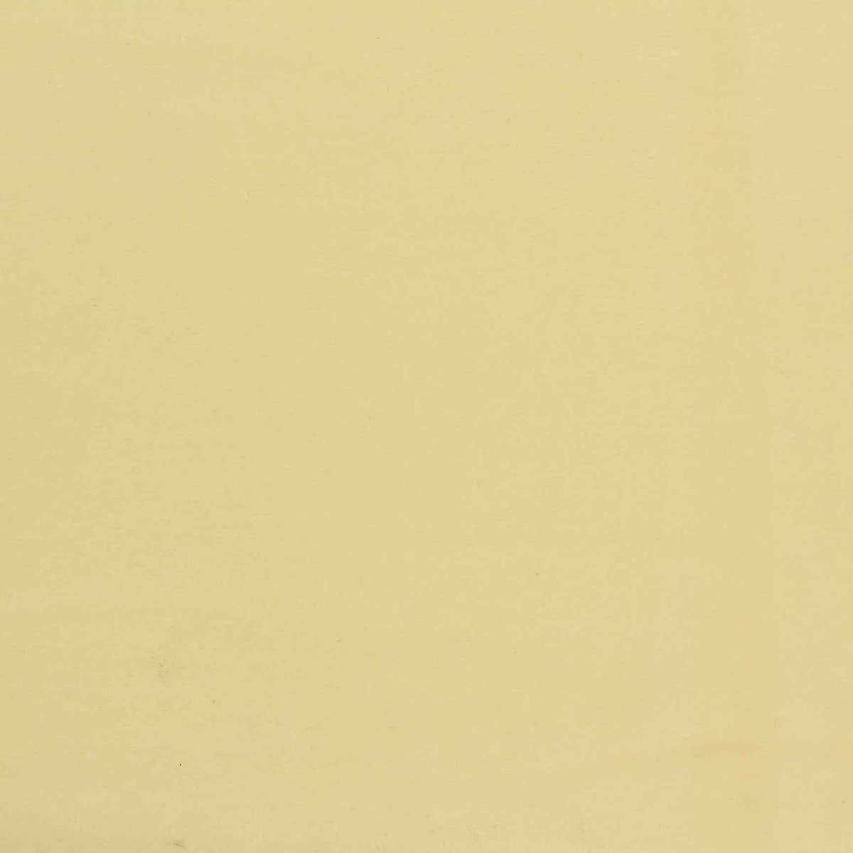 Fleece Fabric, 227 gsm, 172 cm — Yellow