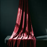 Velvet Fabric, 390 gsm, 160 cm — Red