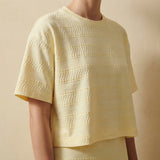 Light Yellow Horizontal-Band Jersey Knit, Cotton