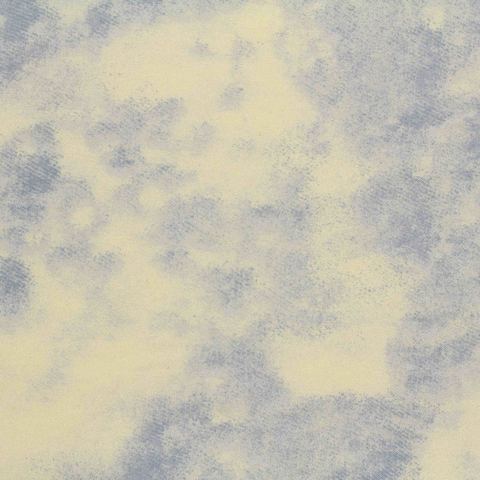 Printed 100% Viscose Woven Fabric