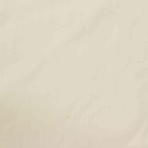 100% Nylon Twill Fabric
