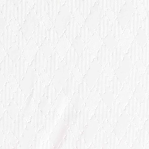 Jacquard 100% Polyester Chiffon Fabric
