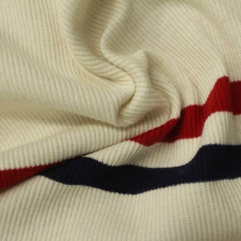 Bold Striped Rib Knit Fabric