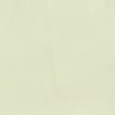 100% Polyester Fleece Fabric