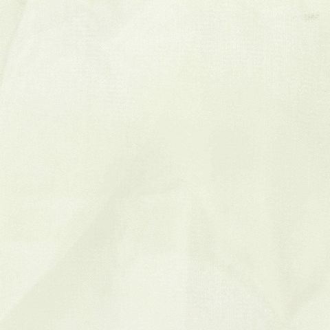 100% Polyester Organza Fabric