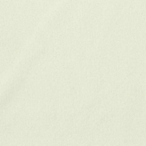Velvet Fabric