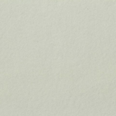 100% Polyester Fleece Fabric