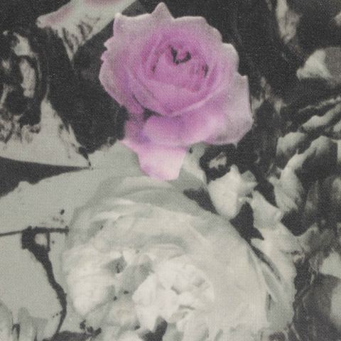 Pink Roses Chiffon, Polyester