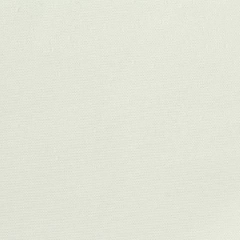 Brushed 100% Polyester Knit Fabric