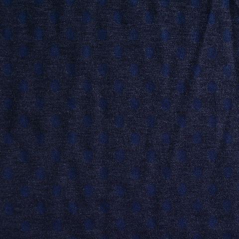 Fine Dotted Polyester Viscose Stretch Knit Fabric